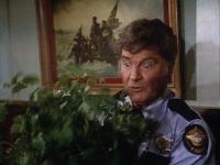 The Dukes Of Hazzard